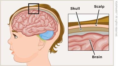 KidsHealth Image